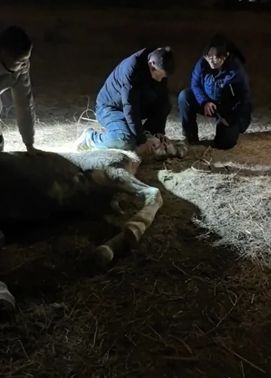 0点来抢第四期河南省新春消费券；中国恒大被列为“老赖”瓦力棋牌大象早报｜郑州元宵节禁止燃放烟花爆竹；今天1(图11)